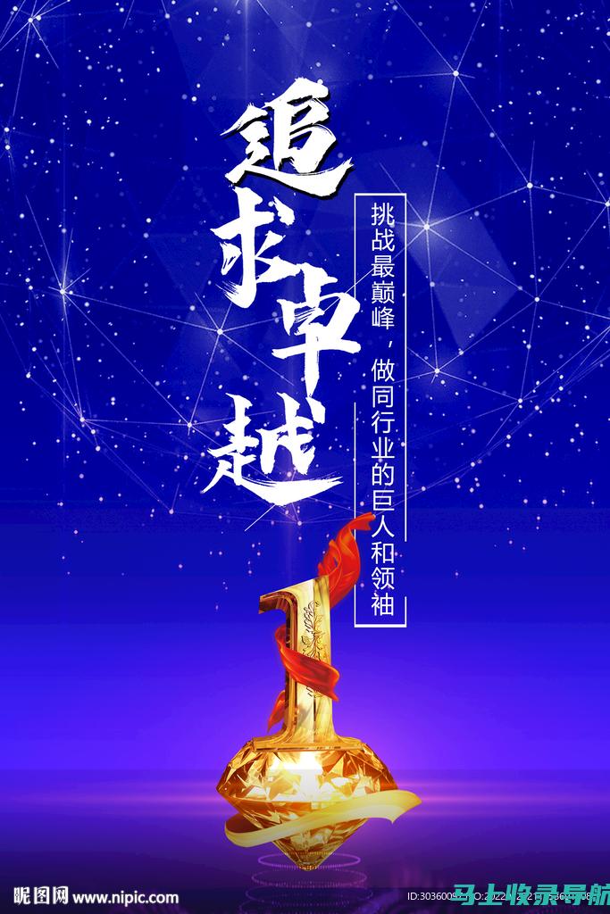 追求卓越成果：精准SEO网站推广效果的关键步骤和策略